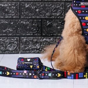ISO Frenchie Arcade Comfort Leash